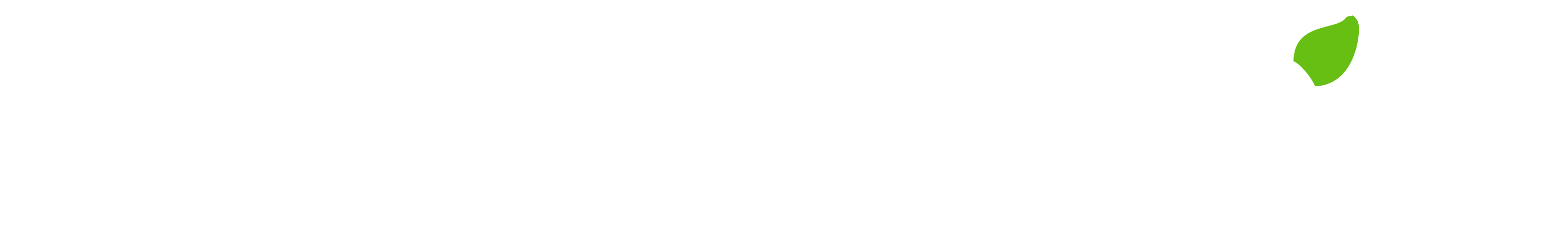 WNutrition white logo